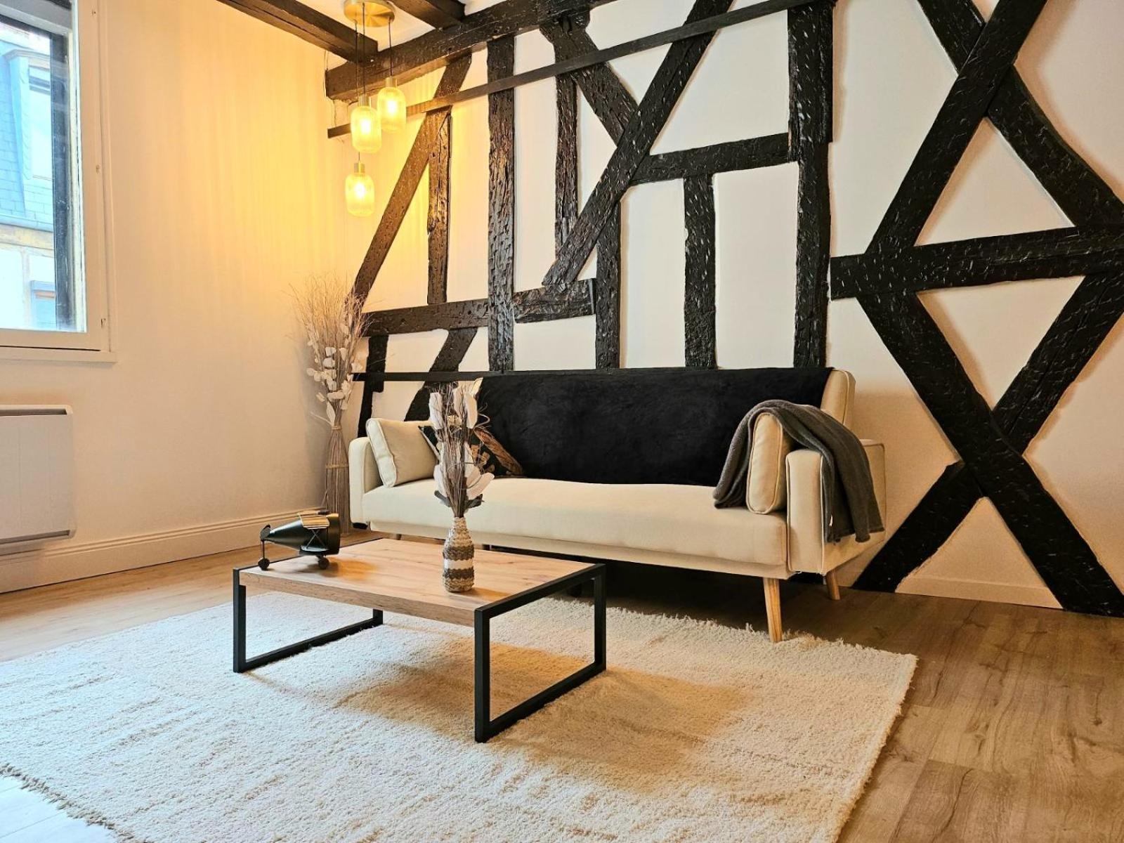 La Dame Blanche - Appartement Hypercentre Historique Бурж Екстер'єр фото